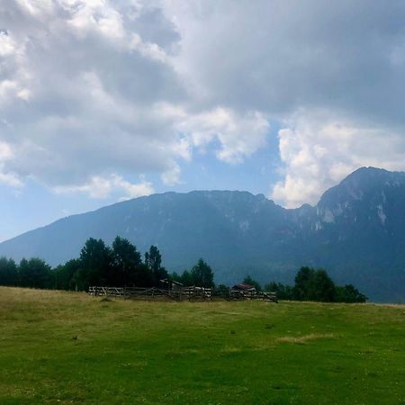 Pensiunea Poiana Viselor Poiana Mărului Exteriér fotografie