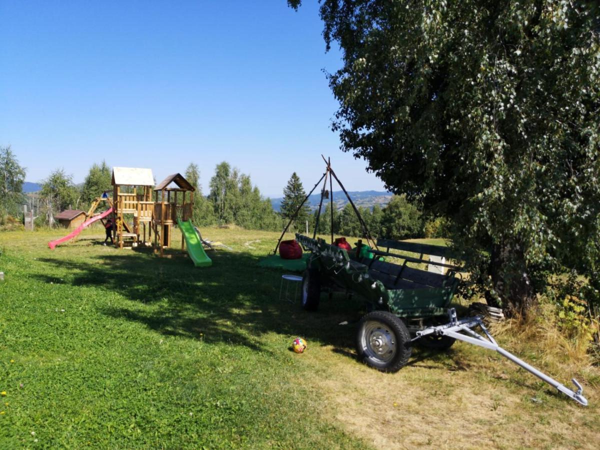 Pensiunea Poiana Viselor Poiana Mărului Exteriér fotografie