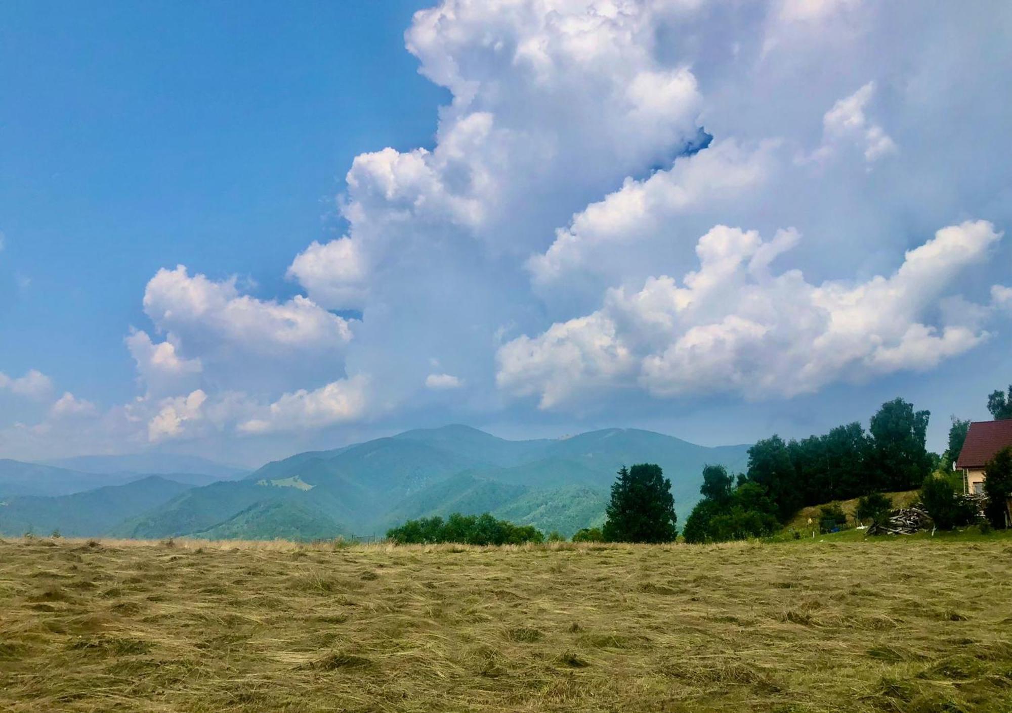 Pensiunea Poiana Viselor Poiana Mărului Exteriér fotografie