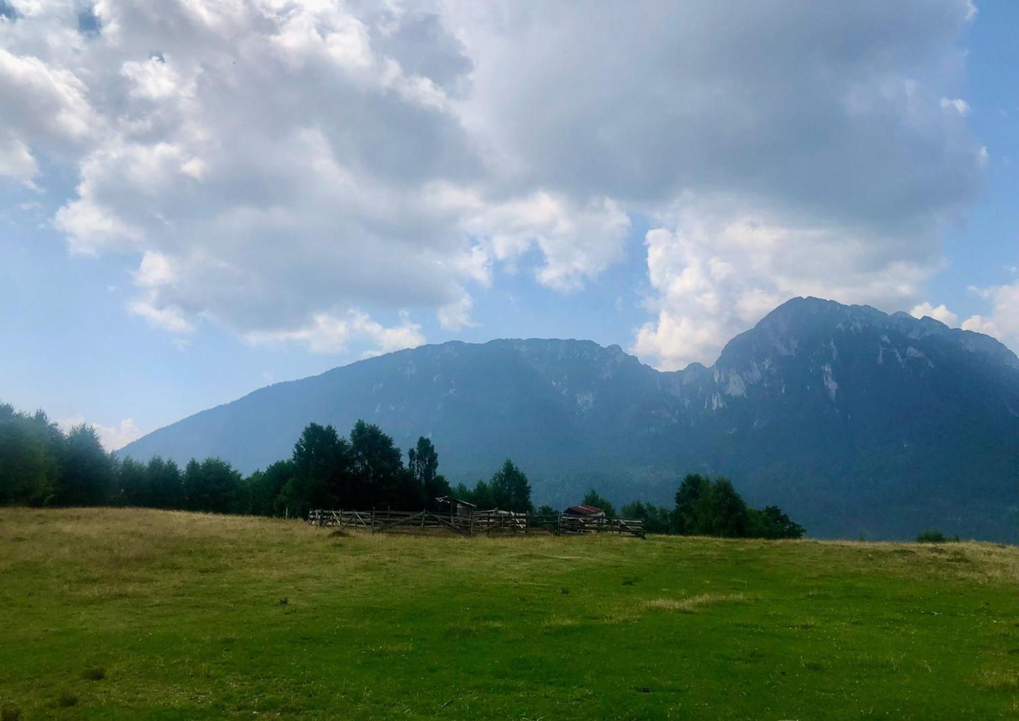 Pensiunea Poiana Viselor Poiana Mărului Exteriér fotografie