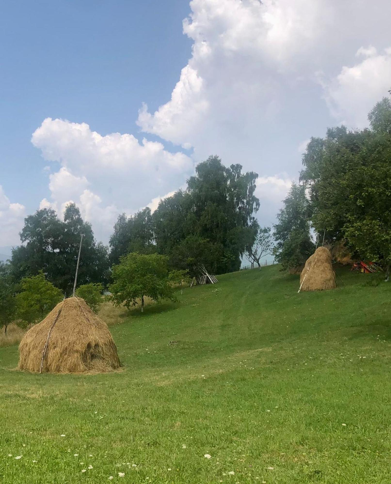 Pensiunea Poiana Viselor Poiana Mărului Exteriér fotografie