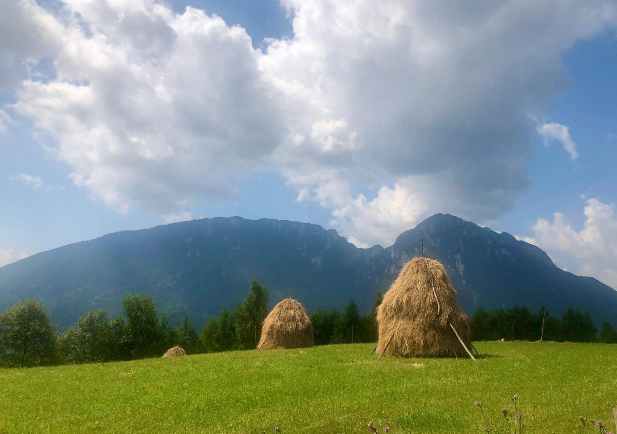 Pensiunea Poiana Viselor Poiana Mărului Exteriér fotografie