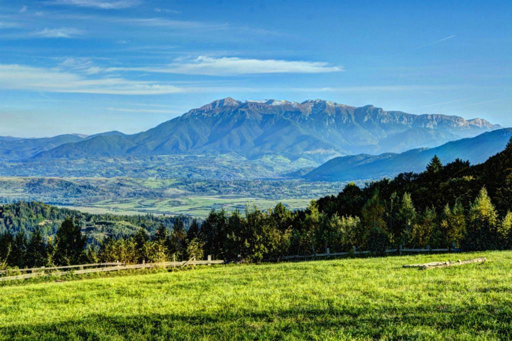 Pensiunea Poiana Viselor Poiana Mărului Exteriér fotografie