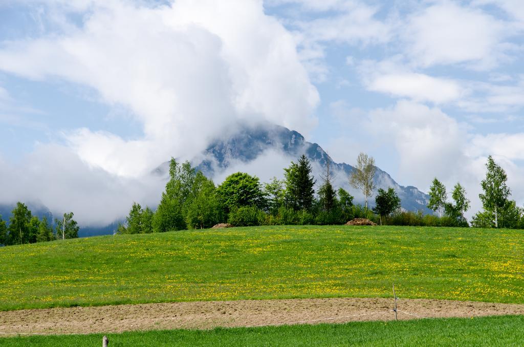 Pensiunea Poiana Viselor Poiana Mărului Exteriér fotografie