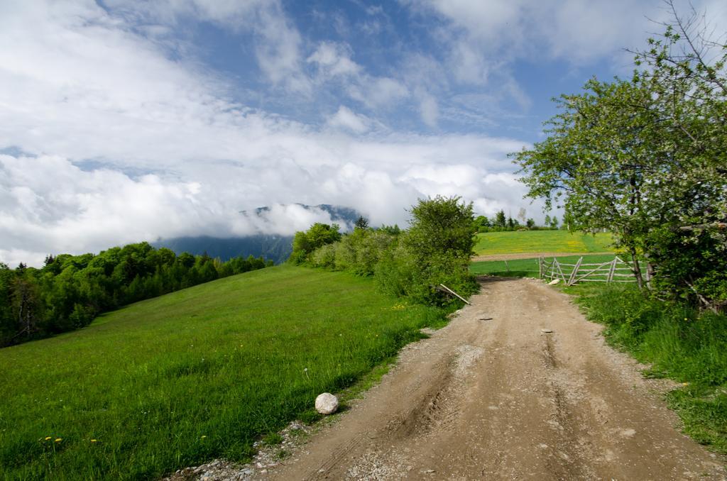 Pensiunea Poiana Viselor Poiana Mărului Exteriér fotografie