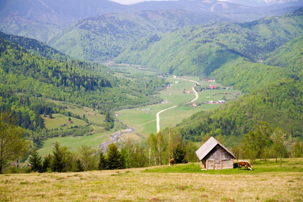 Pensiunea Poiana Viselor Poiana Mărului Exteriér fotografie