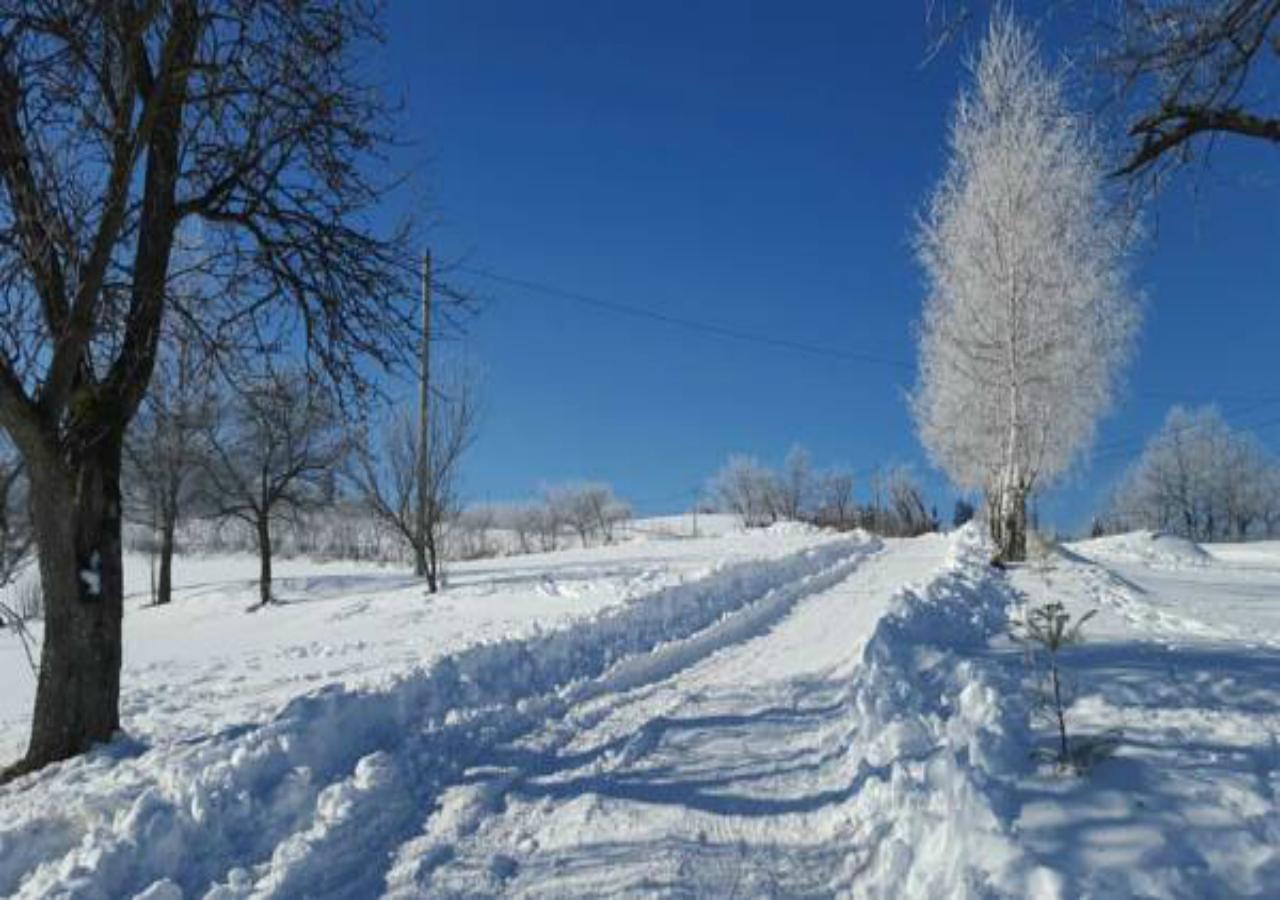Pensiunea Poiana Viselor Poiana Mărului Exteriér fotografie