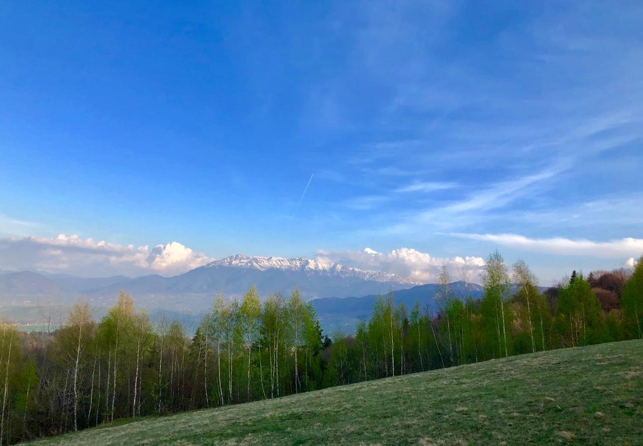 Pensiunea Poiana Viselor Poiana Mărului Exteriér fotografie