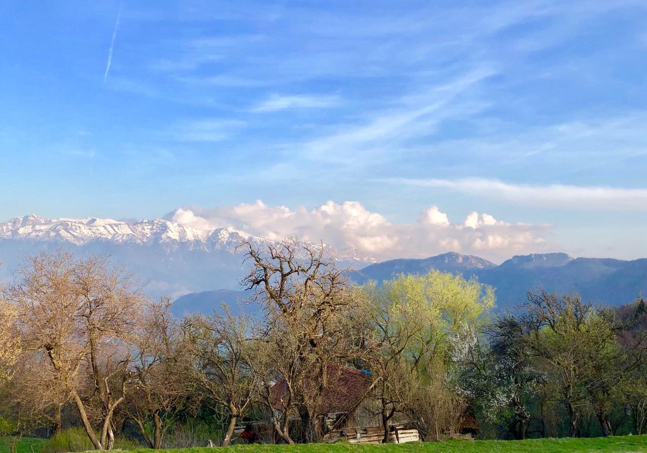 Pensiunea Poiana Viselor Poiana Mărului Exteriér fotografie